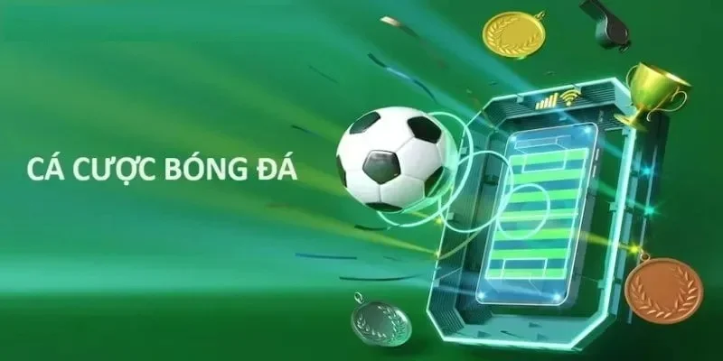 Chia sẻ kiến thức cá độ bóng đá cho người mới chơi