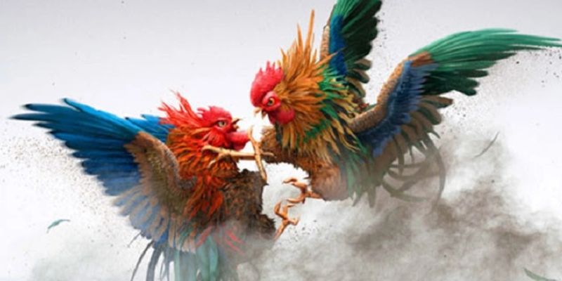 Đá gà trực tuyến vô cùng hấp dẫn