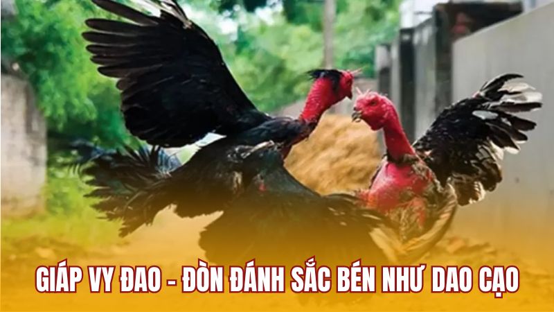 Giáp vy đao: đòn đánh sắc bén như dao cạo