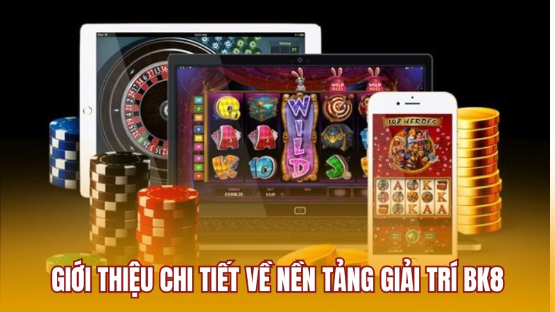 Giới thiệu chi tiết về nền tảng giải trí BK8