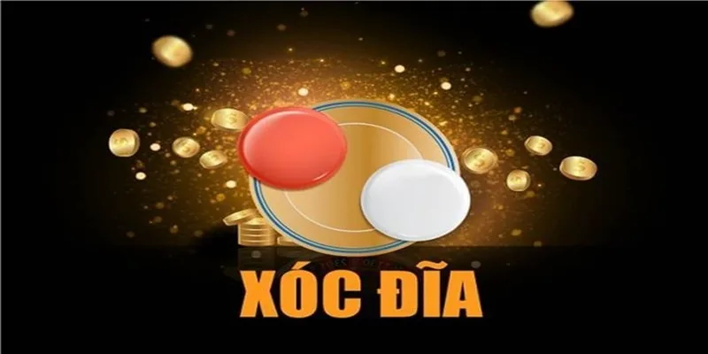 Kiến Thức Chơi Xóc Đĩa, Học Cách Đặt Cược Chính Xác Cùng BK8